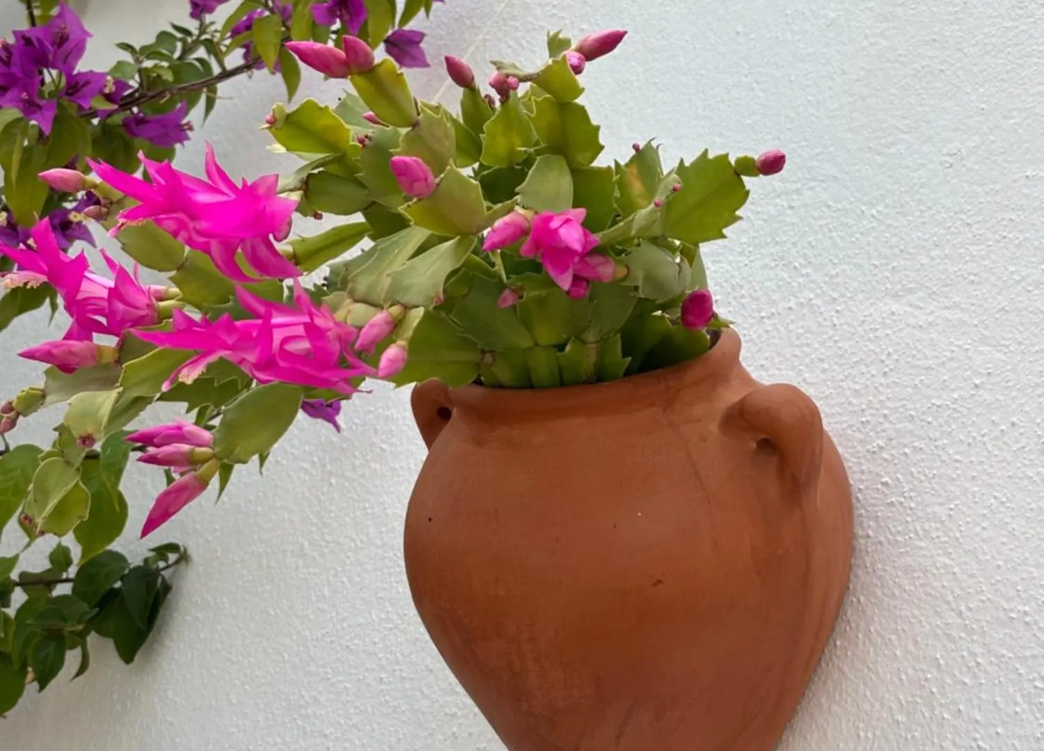 Casa Alta B&B Torrox 0*,  Španělsko